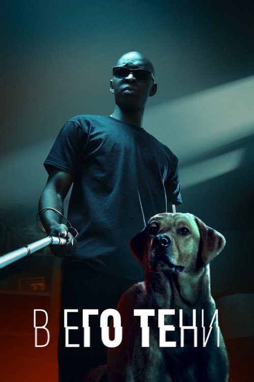 В его тени постер