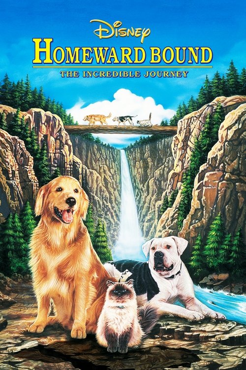 Homeward Bound: The Incredible Journey постер