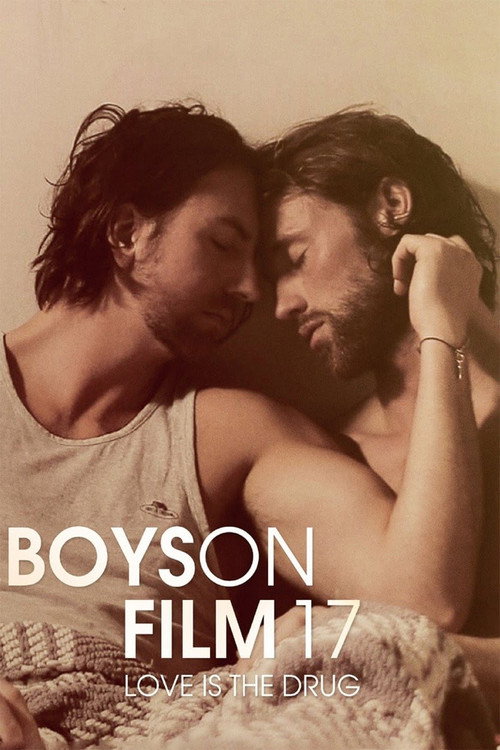 Boys On Film 17: Love Is the Drug постер