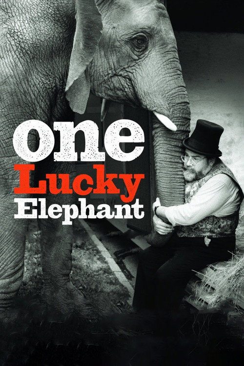 One Lucky Elephant постер