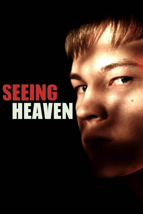 Seeing Heaven постер
