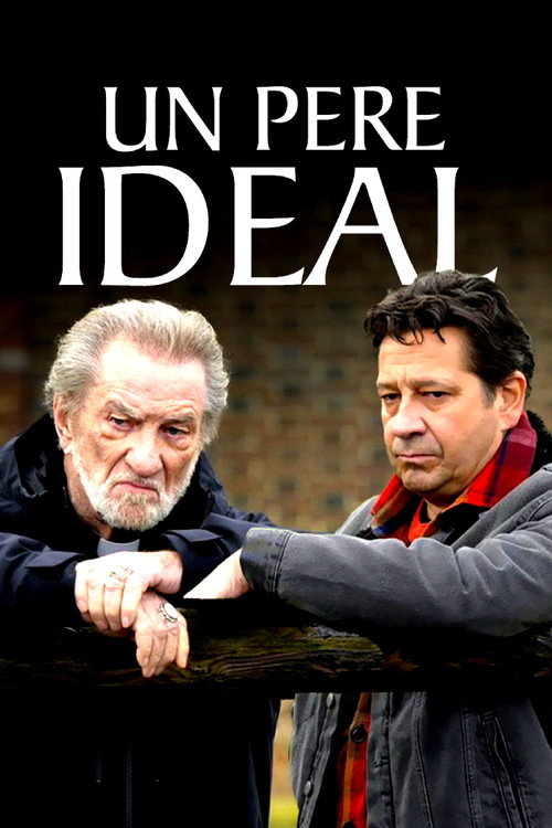 Идеальный отец постер