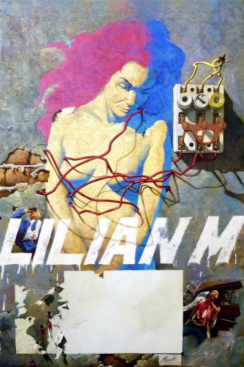 Lilian M: Confidential Report постер