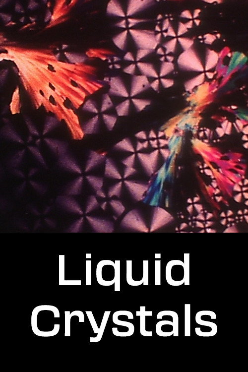 Liquid Crystals постер