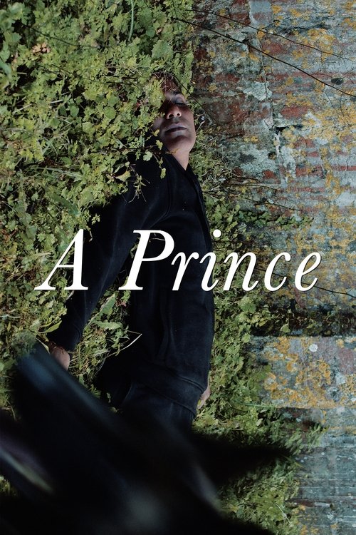 A Prince постер