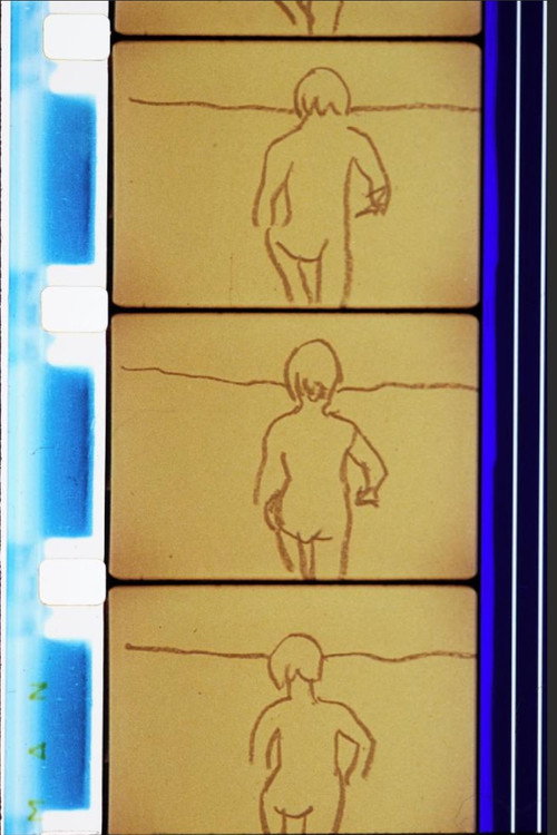 Gulls and Buoys постер