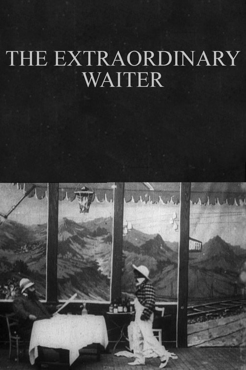The Extraordinary Waiter постер