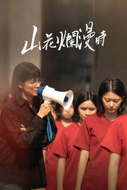 山花烂漫时 постер