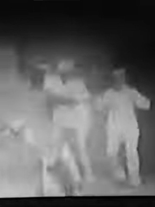 The Escaped Lunatic постер