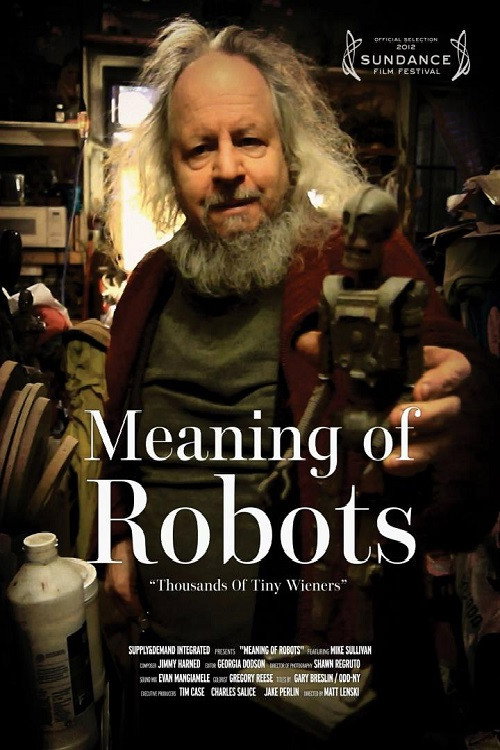 Meaning of Robots постер