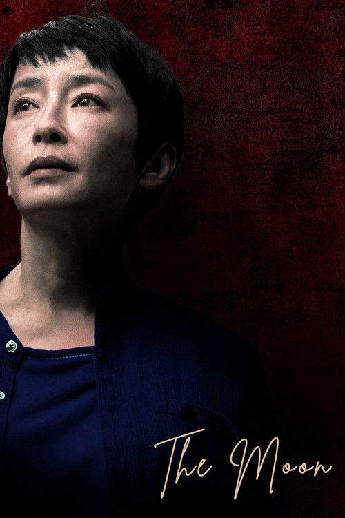 月 постер