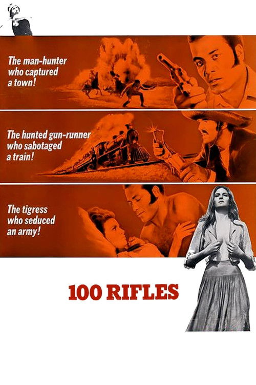 100 Rifles постер