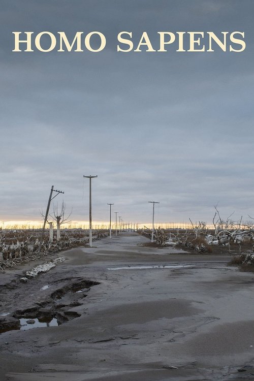 Человек разумный постер