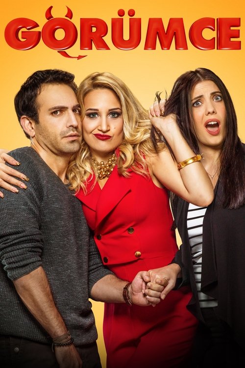 Золовка постер