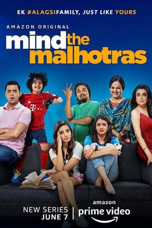 Mind the Malhotras постер