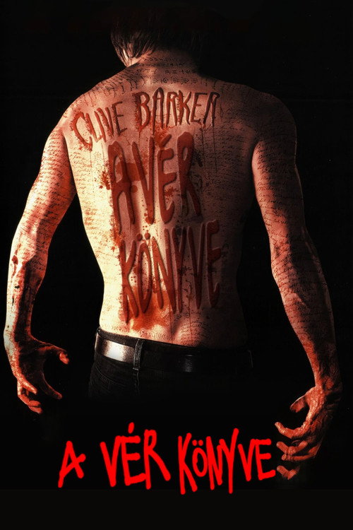 The Black Spider постер