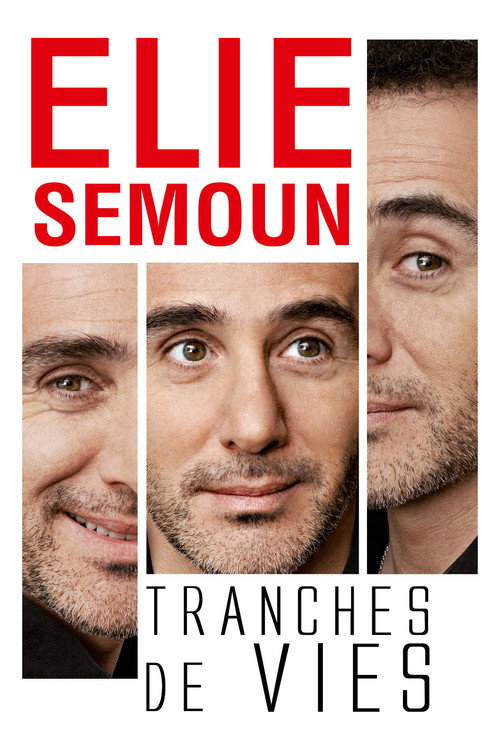 Elie Semoun : Tranches de vies постер