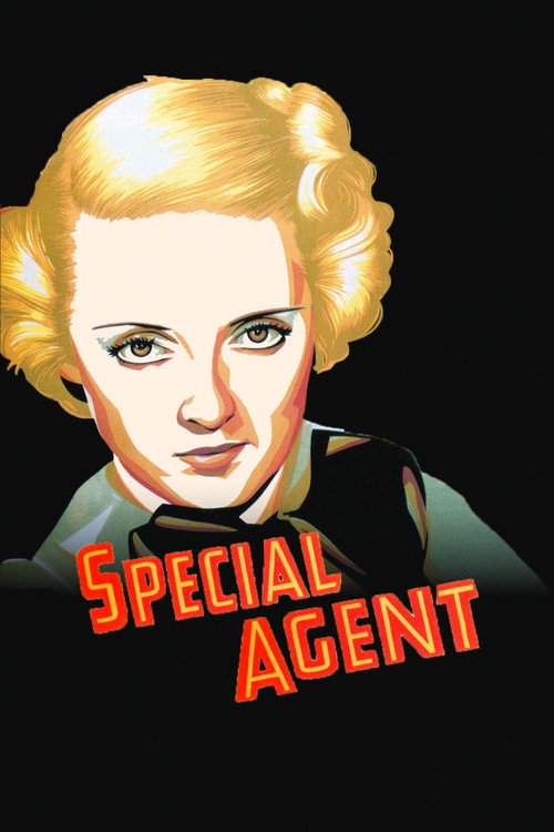 Special Agent постер