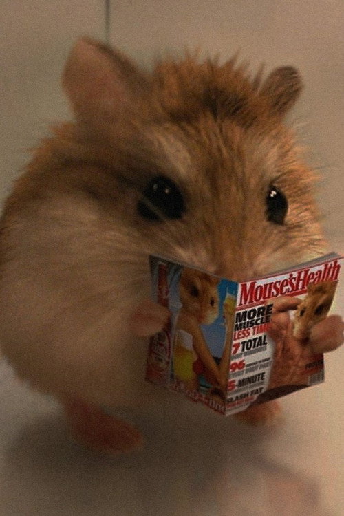 Carlitopolis постер