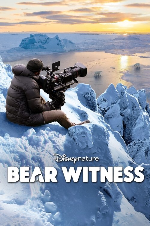 Bear Witness постер