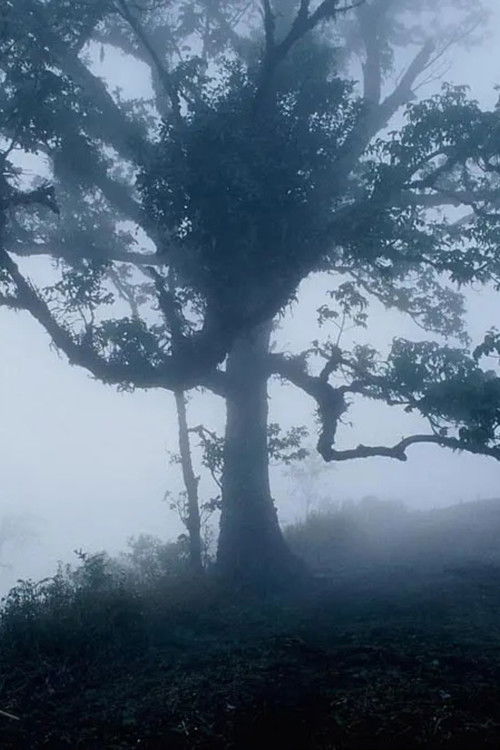 สัตว์วิกาล постер