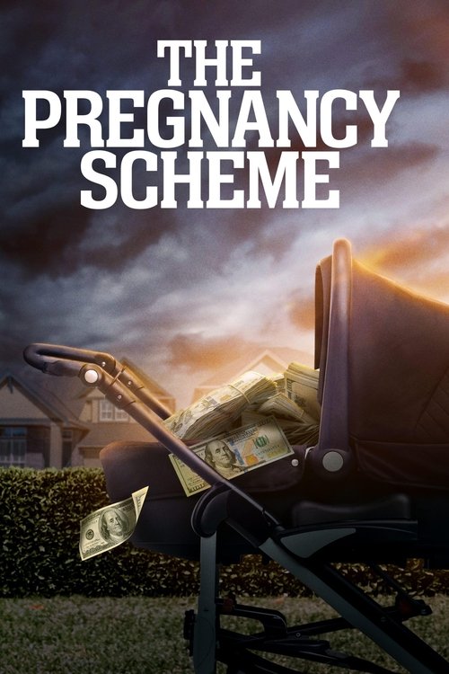 The Pregnancy Scheme постер