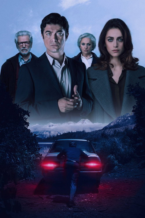 Невидимый свидетель постер