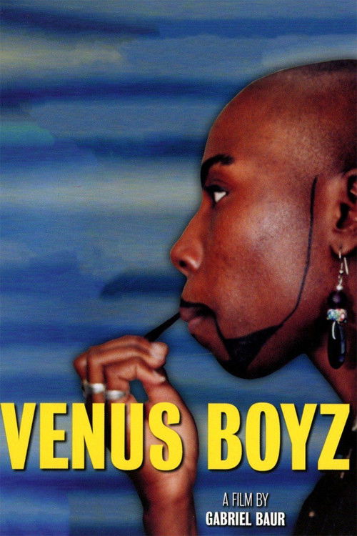 Venus Boyz постер
