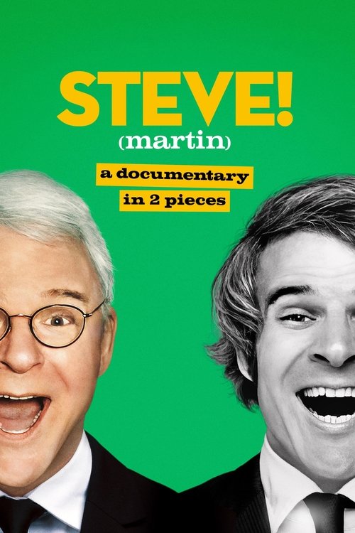 STEVE! (martin) a documentary in 2 pieces постер