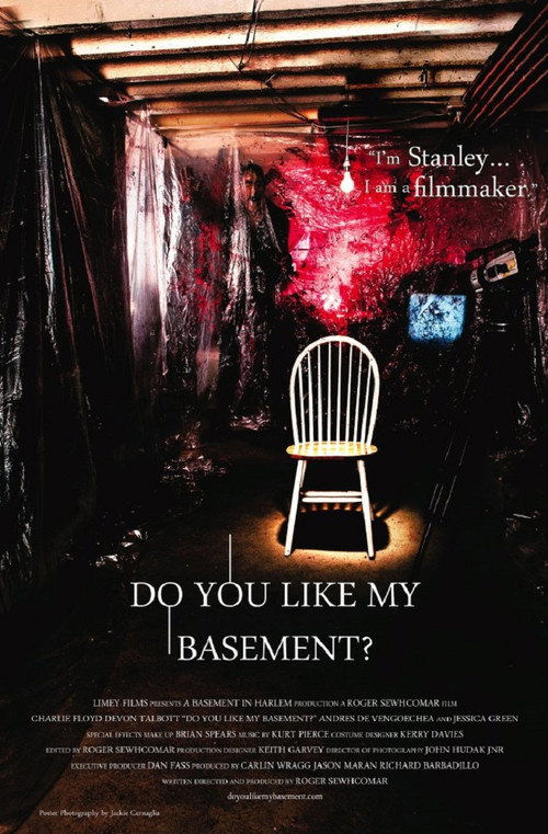 Do You Like My Basement? постер