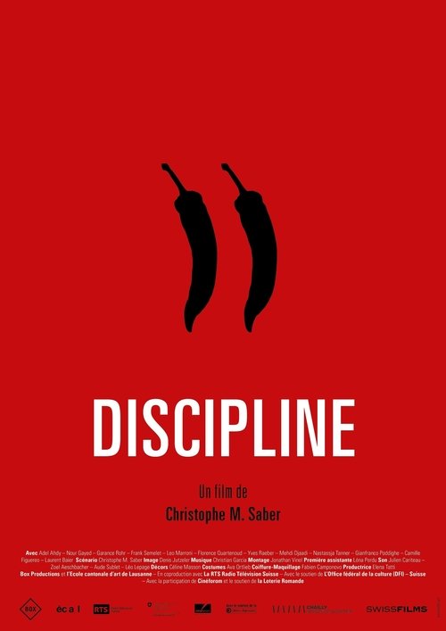 Discipline постер