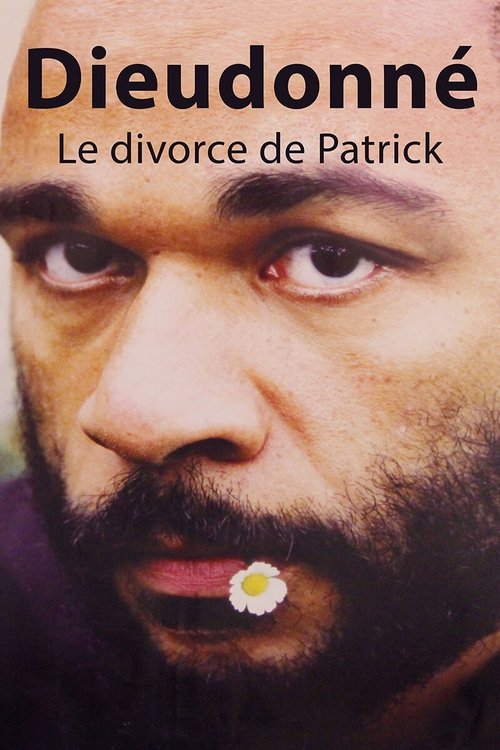 Dieudonné - Le Divorce de Patrick постер