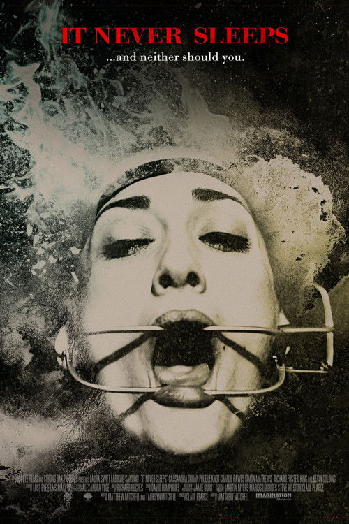 It Never Sleeps постер