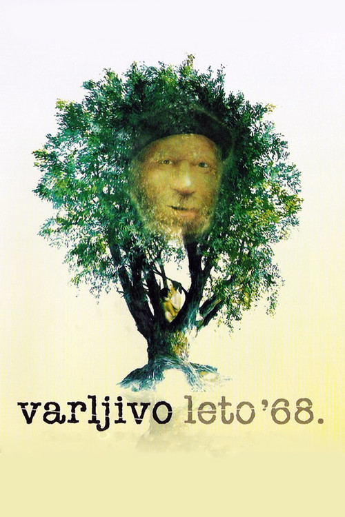 Обманчивое лето 68-го постер