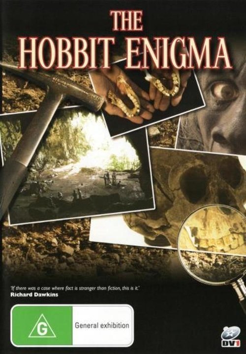 The Hobbit Enigma постер