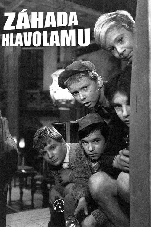 Záhada hlavolamu постер
