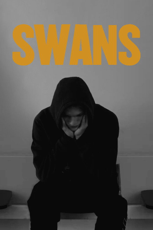 Swans постер