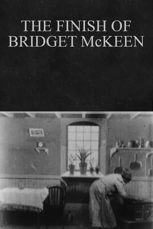 The Finish of Bridget McKeen постер