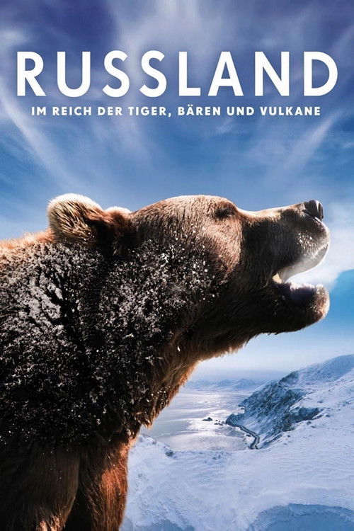 Russia - In the Realm of Tigers, Bears and Volcanoes постер