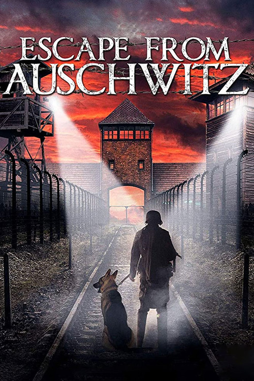 The Escape from Auschwitz постер