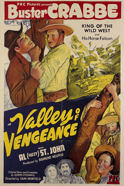 Valley Of Vengeance постер