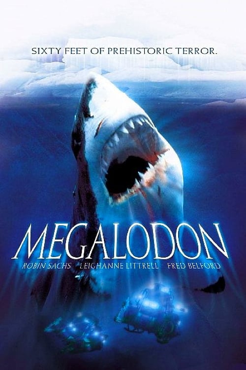 Megalodon постер