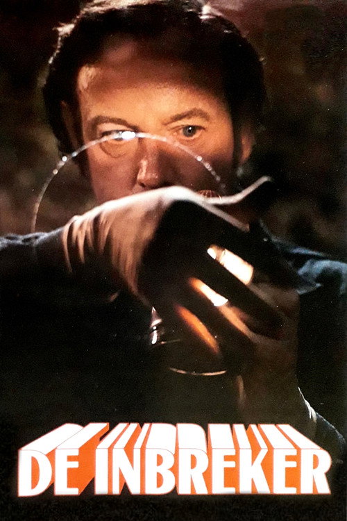 De Inbreker постер