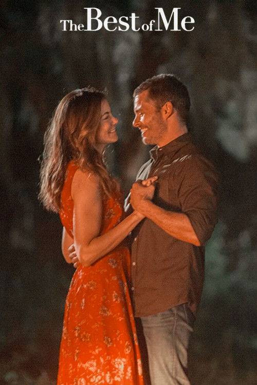 The Best of Me постер