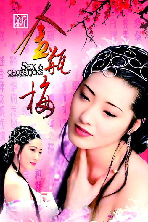 新金瓶梅 постер