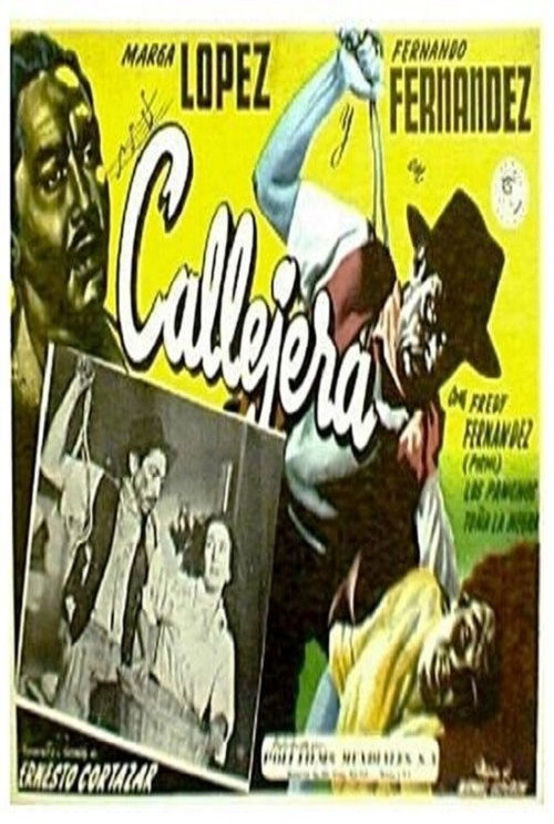 Callejera постер