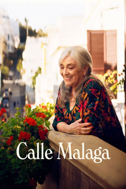 Calle Malaga постер