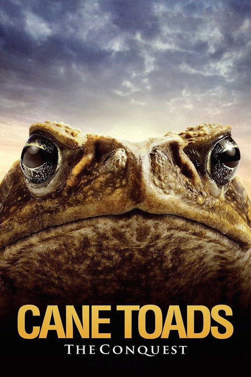 Cane Toads: The Conquest постер