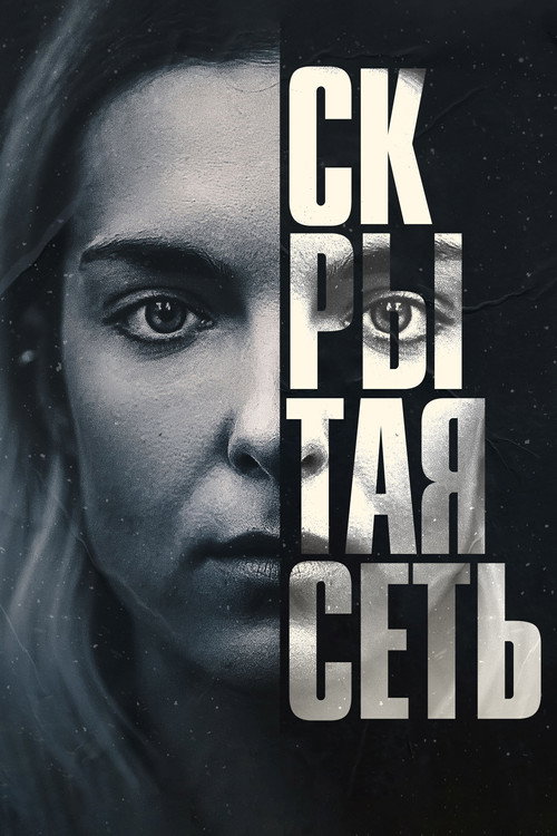 The Hidden Web постер