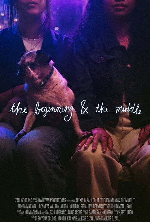 The Beginning & the Middle постер